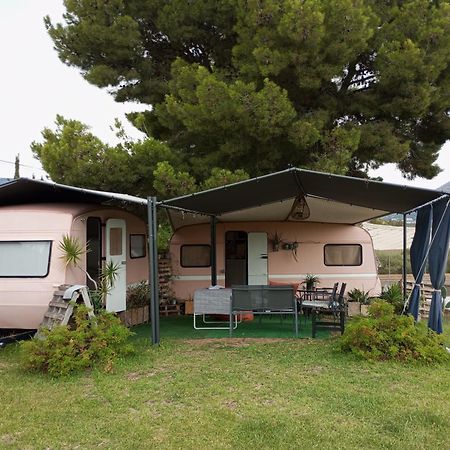 Caravana- Glamping Casa Tortuga La Nucia Luaran gambar