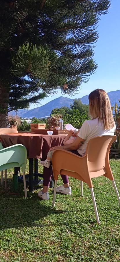 Caravana- Glamping Casa Tortuga La Nucia Luaran gambar