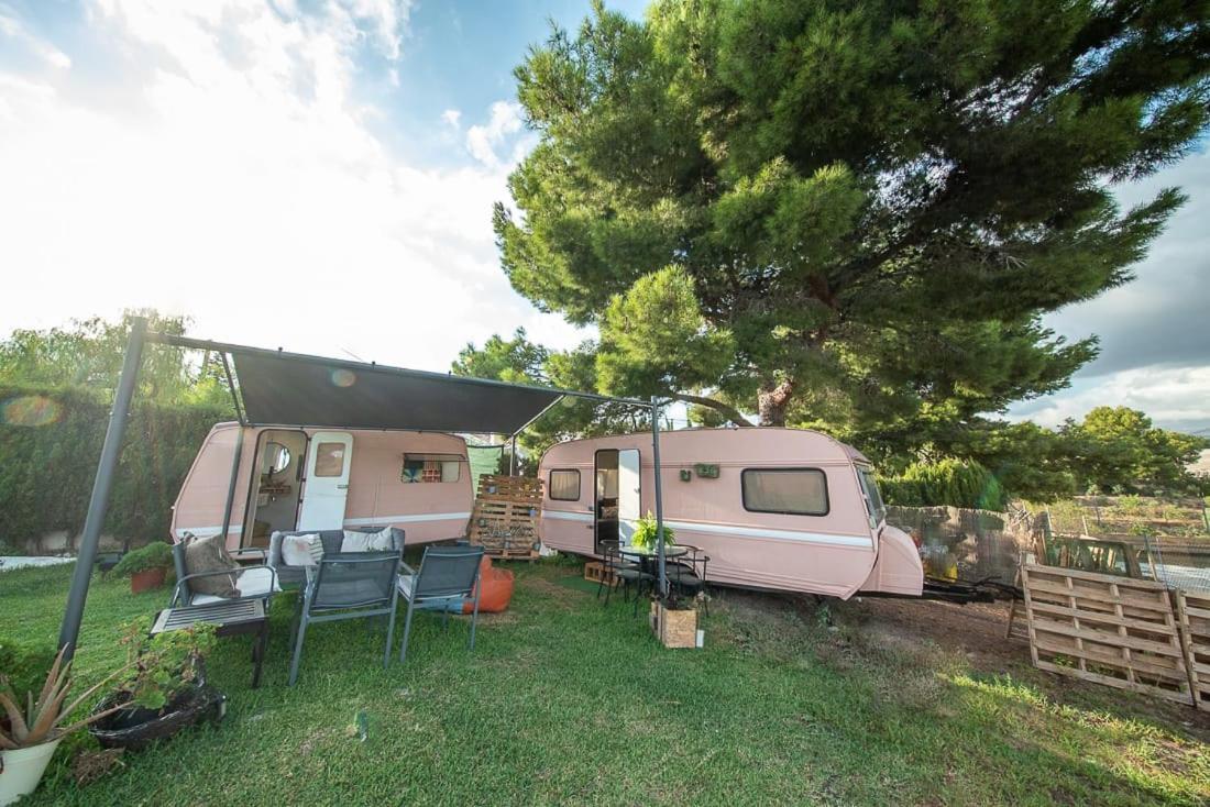 Caravana- Glamping Casa Tortuga La Nucia Luaran gambar